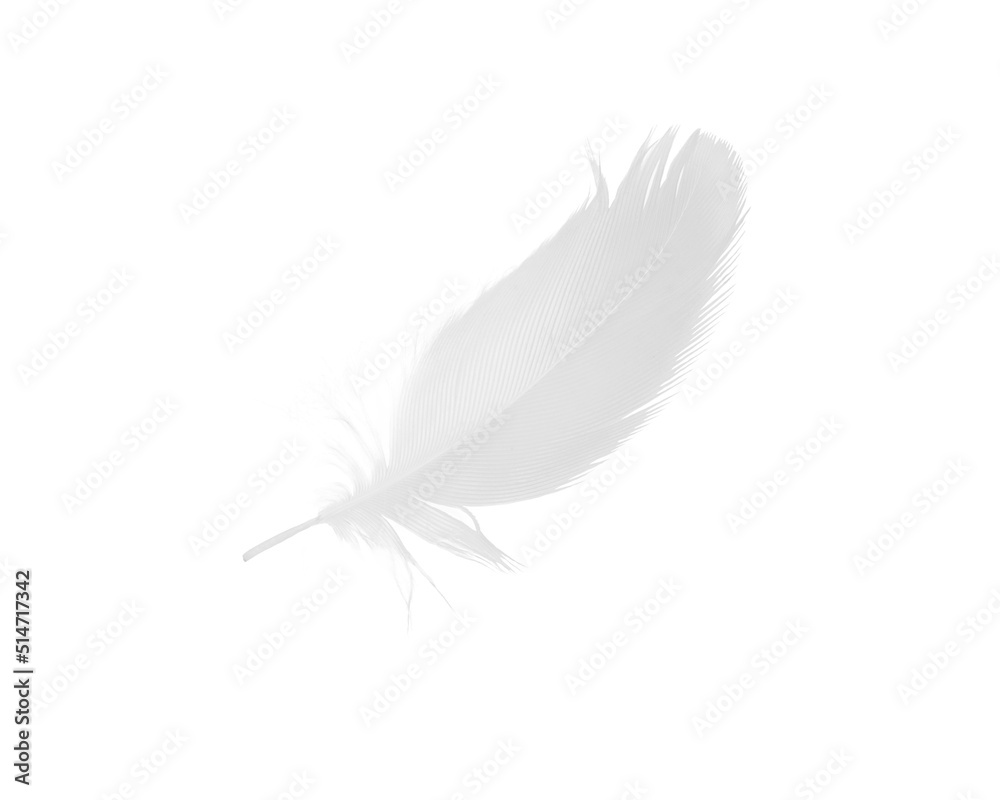 Obraz premium sketching white feather on white background