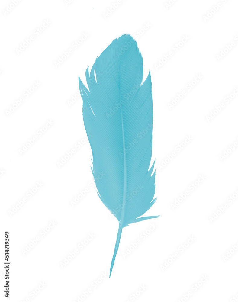 Beautiful feather color green turquoise isolated on white background Beautiful feather color green turquoise isolated on white background