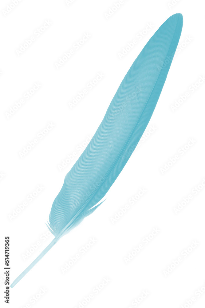 feather color turquoise emerald green on white background