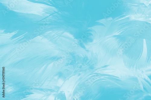 Beautiful blue turquoise vintage color trends feather pattern texture pastel background