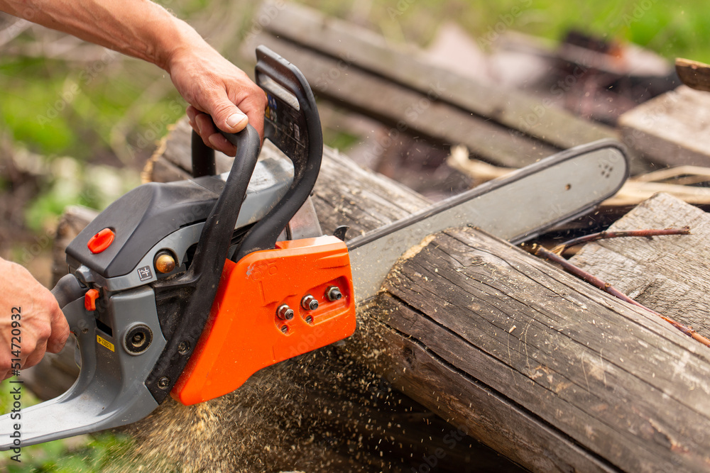 Man with chainsaw cutting the tree