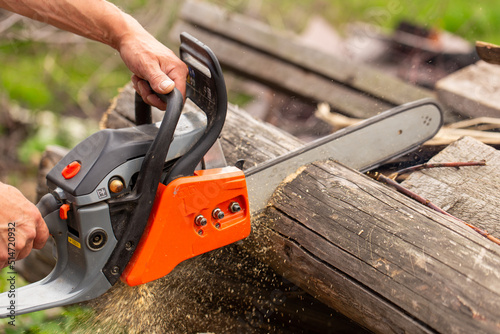 Wallpaper Mural Man with chainsaw cutting the tree Torontodigital.ca