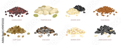 Seed pile set. Flax seed, sesame, chia, pumpkin seeds, canola, sunflower, quinoa, hemp seed. Vector simple illustration isolated on white. Icon in flat style.