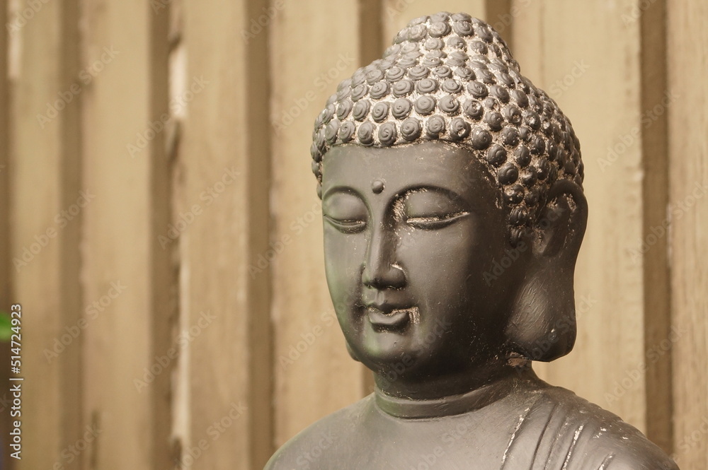 Buddha meditates
