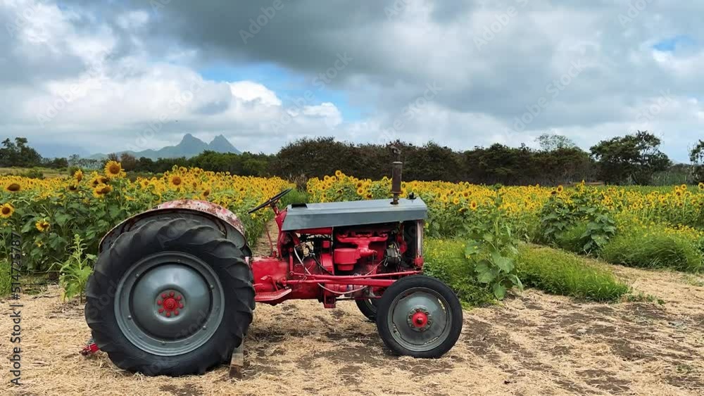 Tractor in a Sunflower Field Timelapse Tractor in a Sunflower Field Timelapse