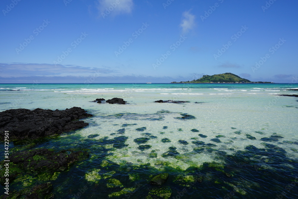 Fototapeta premium mossy rocks in shoaling beach