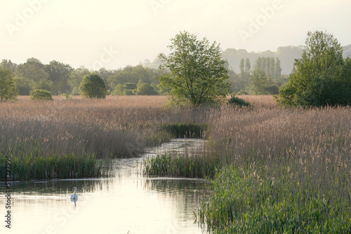 Gorgeous Spring Summer landscape image of hazy sunrise over wetlands and reed beds with sun glow in distance