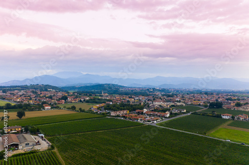 aerial view vineyard scenery. Aerial / Drone panorama of vineyard and agricultural fields. Late summer aerial landscape of valley in Tuscany. Italy. 