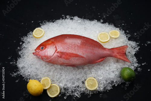 fresh red fish on ice with lemons on a black background