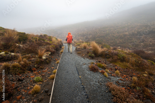 Hiking Tama Lakes track in thick fog, among golden and red tussocks. Tongariro National Park.