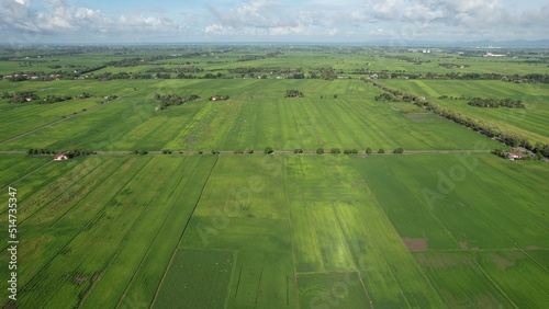 defaultThe Paddy Rice Fields of Kedah and Perlis, Malaysia