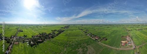 defaultThe Paddy Rice Fields of Kedah and Perlis, Malaysia photo