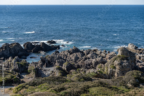Wallpaper Mural 上から見た室戸岬のタービダイト Torontodigital.ca