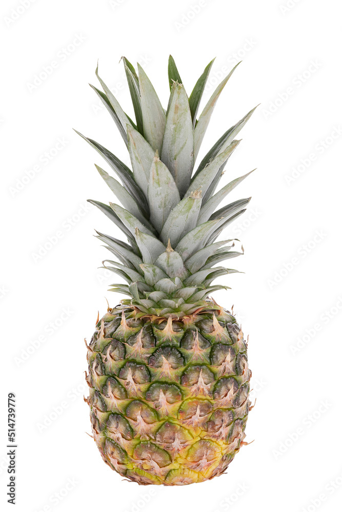 Single whole pineapple isolated on white background. Exotic fruit. Single whole pineapple isolated on white background. Exotic fruit.