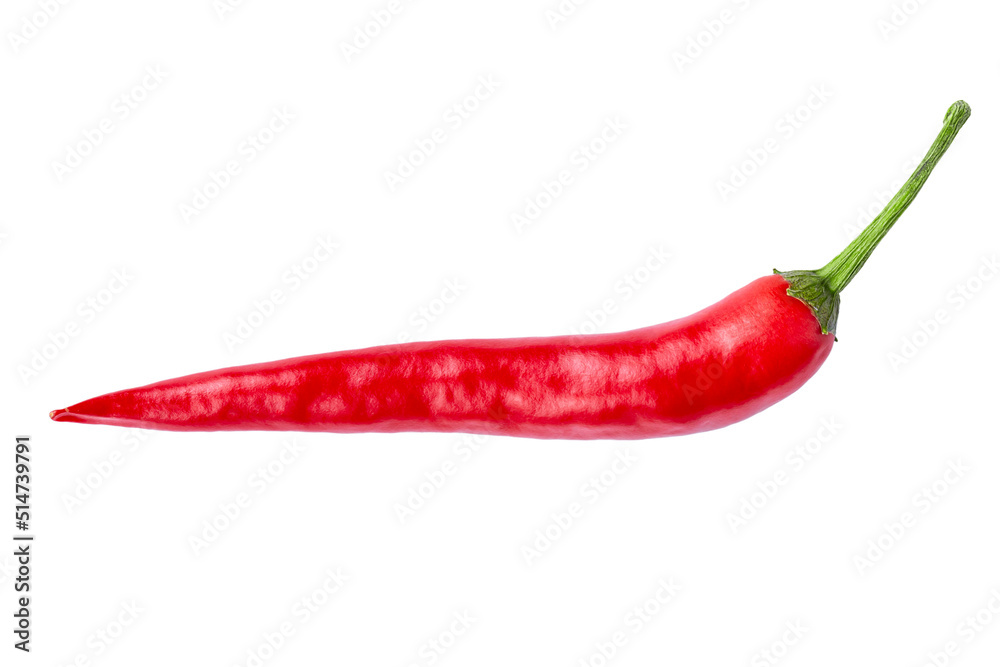Single chili pepper isolated on white background. Chili hot pepper whole. Single chili pepper isolated on white background. Chili hot pepper whole.