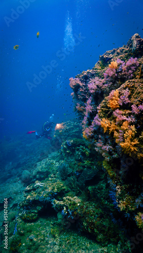 Beautiful underwater photo of a scuba diver at a coral reef in south east Asia.