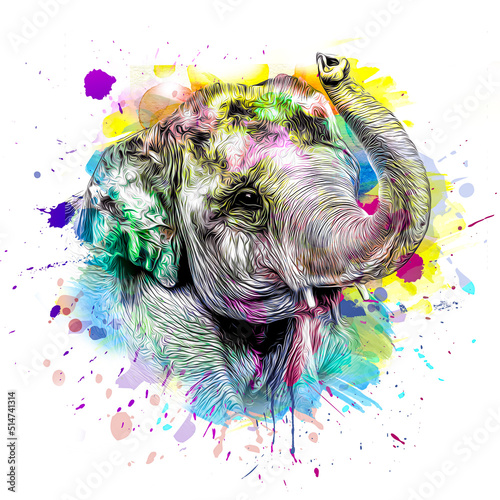 elephant with creative colo...
