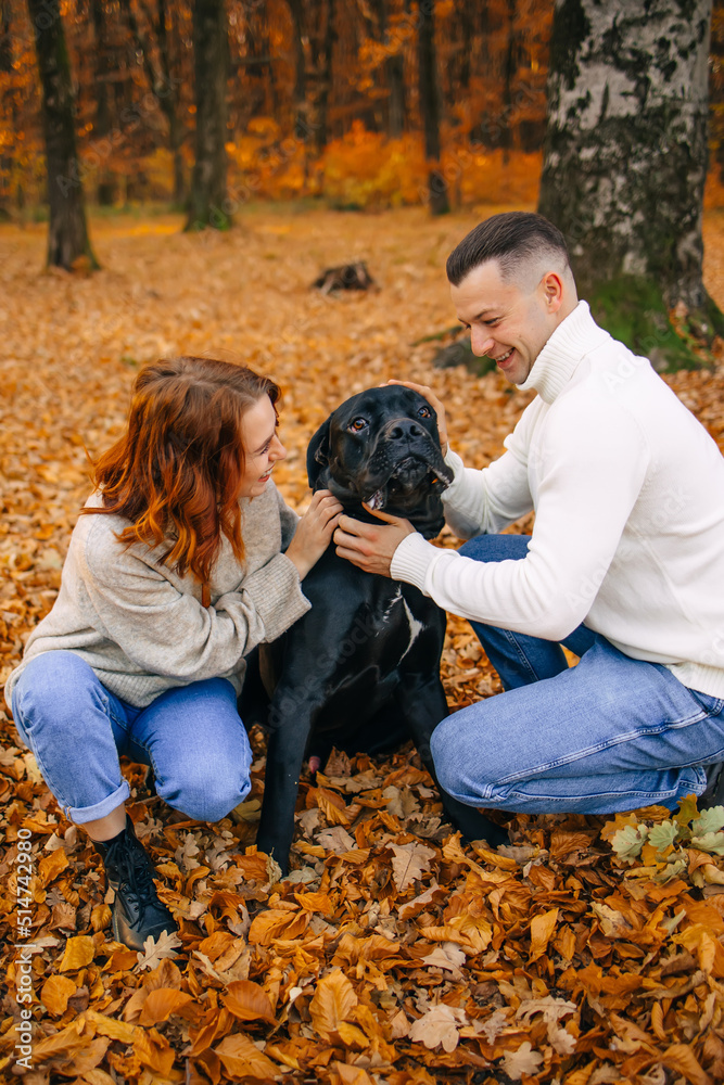 Couple playing with her dog in the park in spring. Couple playing with her dog in the park in spring.