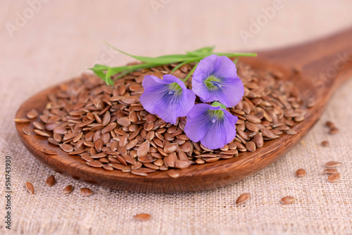 Flax seeds in a wooden spoon and flax flowers. Close-up.