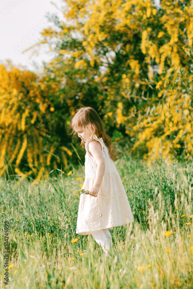 Cute toddler girl with long hairs wear casual dress walking, runing in field with green grass and blooming trees with yellow flowers. Cute toddler girl with long hairs wear casual dress walking, runing in field with green grass and blooming trees with yellow flowers.