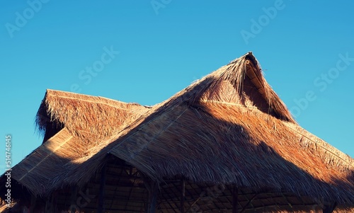 The roof of the house is grass. This type of roof is commonly found in Asia.