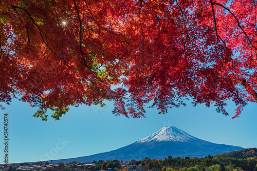 河口湖畔より紅葉越しに富士山を望む © Yojiro Oda