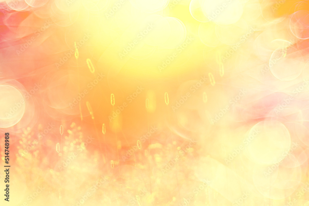 Obraz premium summer seasonal field sun background bokeh grass sunset abstract