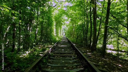 View from the train cabin while passing through the tunnel of lovers photo