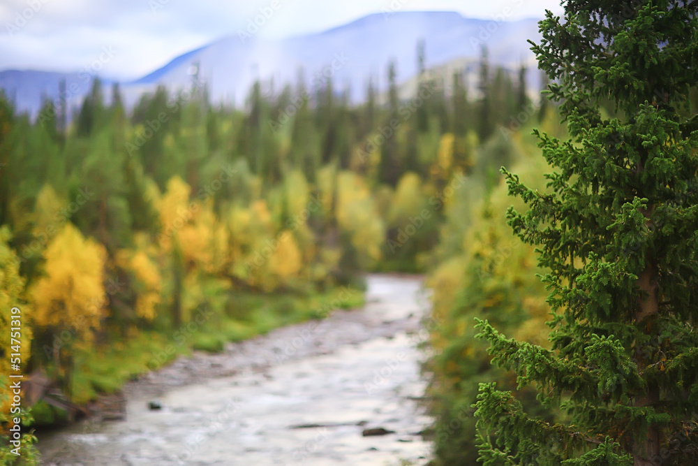 autumn taiga forest landscape, nature view fall in the mountains autumn taiga forest landscape, nature view fall in the mountains