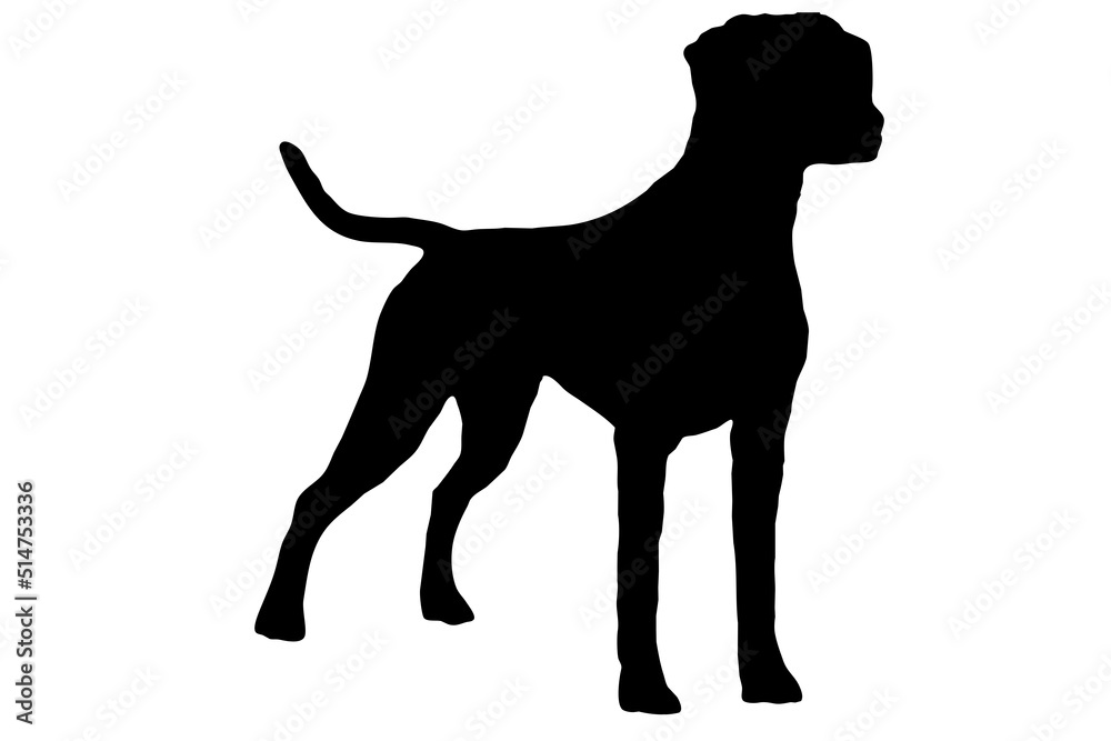 Silhouette of a Dalmatian body sitting on the side