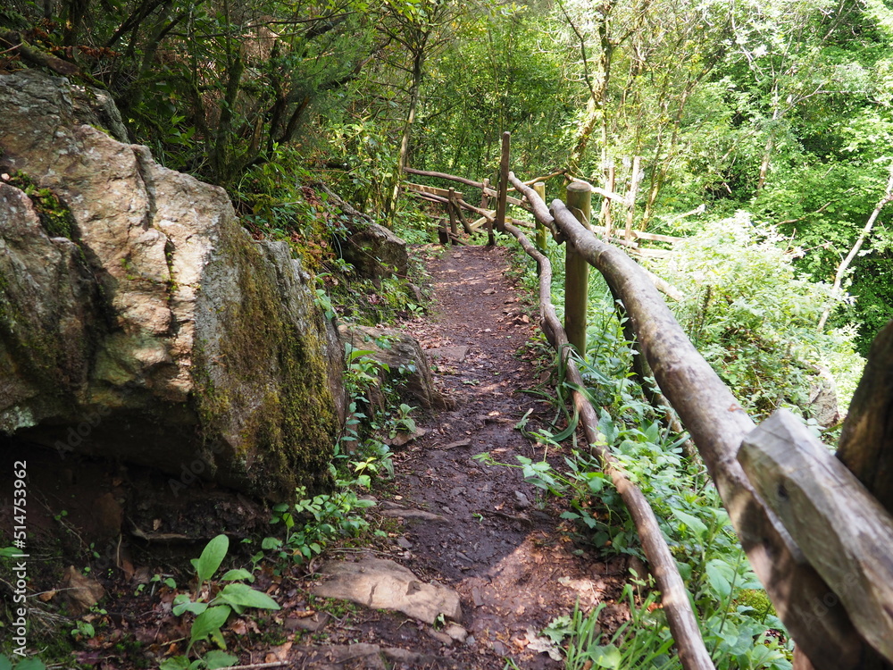 Fototapeta premium senderos formando la bonita ruta de senderismo de las gándaras, transcurriendo entre las aguas claras del río cabalar, robles y pastizales verdes, vilasantar, galicia, españa, europa