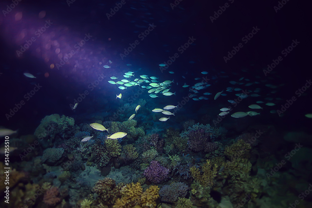 flock of fish in the sea background underwater view flock of fish in the sea background underwater view