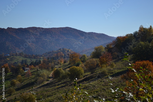 Autumn landscape in the mountains. Carpathian mountains, Ukraine.
