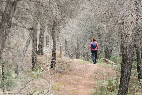 Hiker woman walking calmly through the forest.