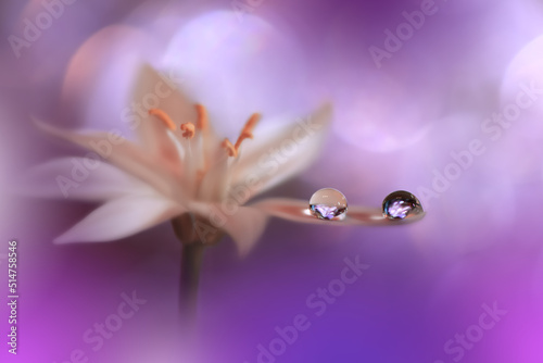 Beautiful Macro Shot of Magic Flowers.Border Art Design.Magic Light.Extreme Close up Photography.Conceptual Abstract Image.Violet and White Background.Fantasy Art.Creative Wallpaper.Beautiful Nature.