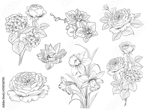 set of graphic flowers without background