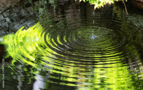 青紅葉と池の水紋 photo
