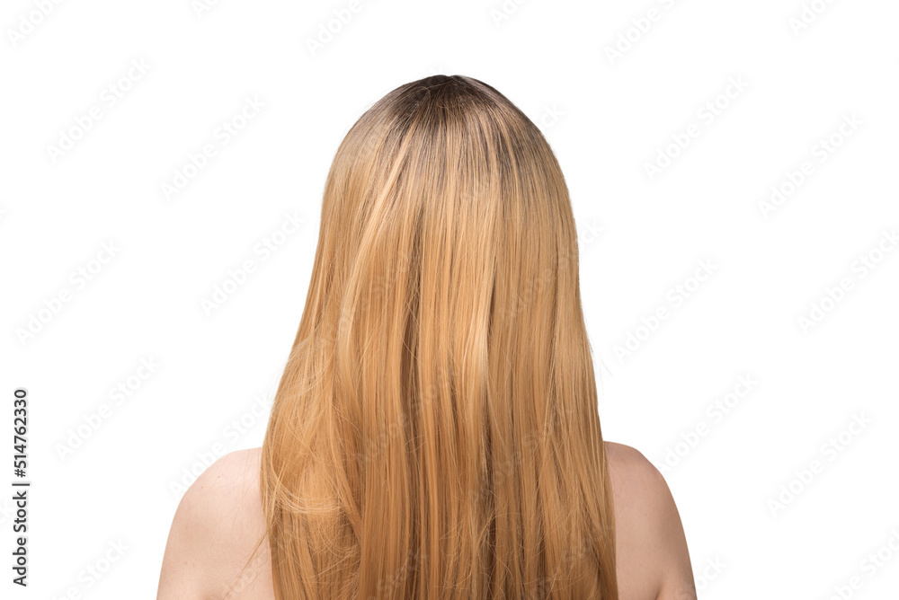 Woman backside, beautiful woman with ombre hair isolated on a white. Woman backside, beautiful woman with ombre hair isolated on a white.