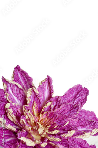 Fototapeta Naklejka Na Ścianę i Meble -  Peking cabbage of lilac color on a white background..