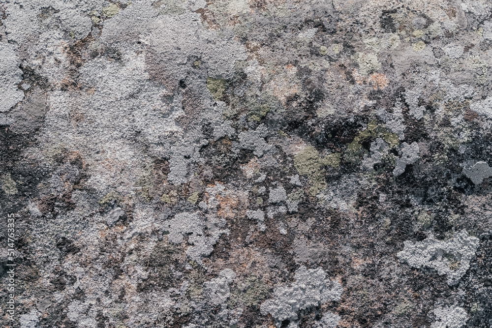 background or texture of mountain stone. Rock background or texture of mountain stone. Rock