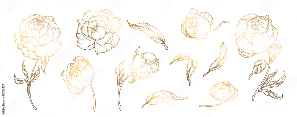Set, golden peony flowers, peony leaves isolated on white background. Line art. Golden handmade flower. For greeting cards and wedding invitations, birthday, Valentine s Day
