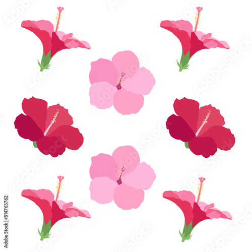 Beautiful hibiscus flowers Vector set of blooming tropical floral for holiday invitations, greeting card and fashion design Tropicania and exoticism