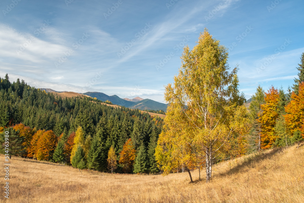 Fototapeta premium Beautiful mountain autumn landscape with colorful forest