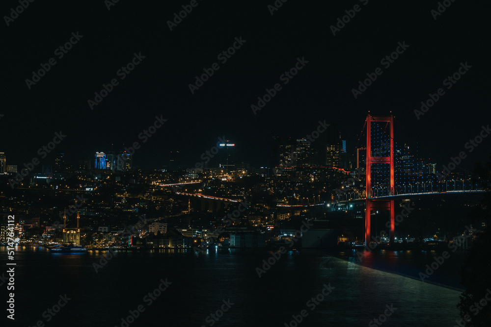 Fototapeta premium Bridge at night - Night City