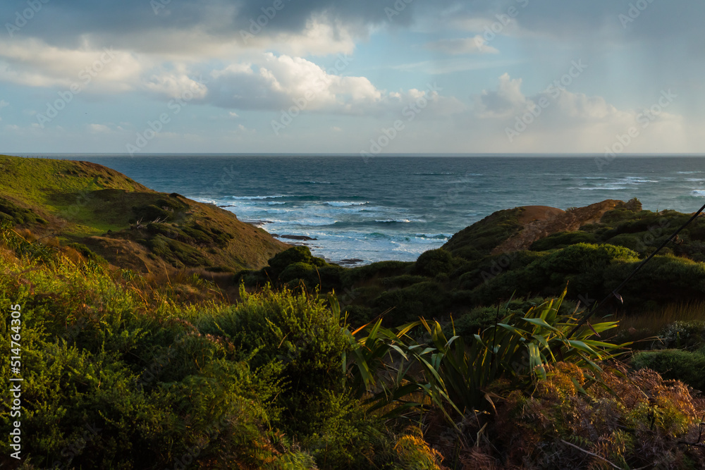 ニュージーランド　ノースランド地方のオマペレの保護公園から見えるタスマン海