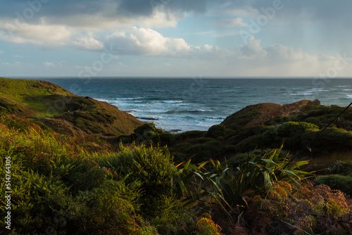 ニュージーランド ノースランド地方のオマペレの保護公園から見えるタスマン海