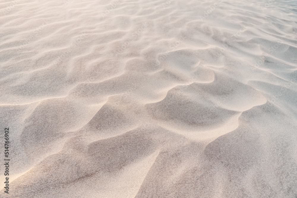 Fototapeta premium Fine sand texture in the dunes at sunset
