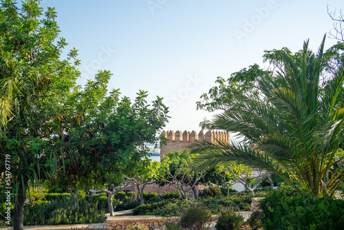 Greenery in the castle of Almería