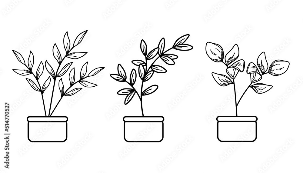 Plant Clip Art Black And White