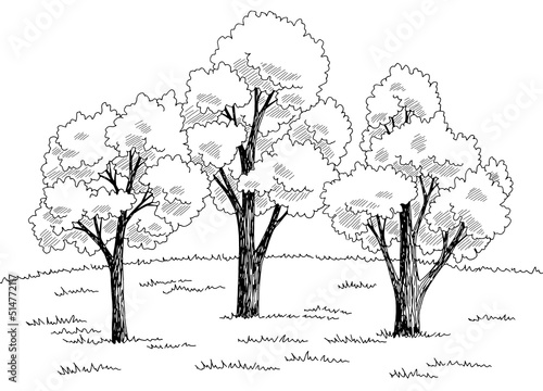 Forest glade graphic black white landscape sketch illustration vector 